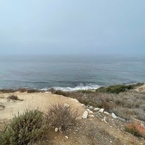 Meet your Posher, Angel